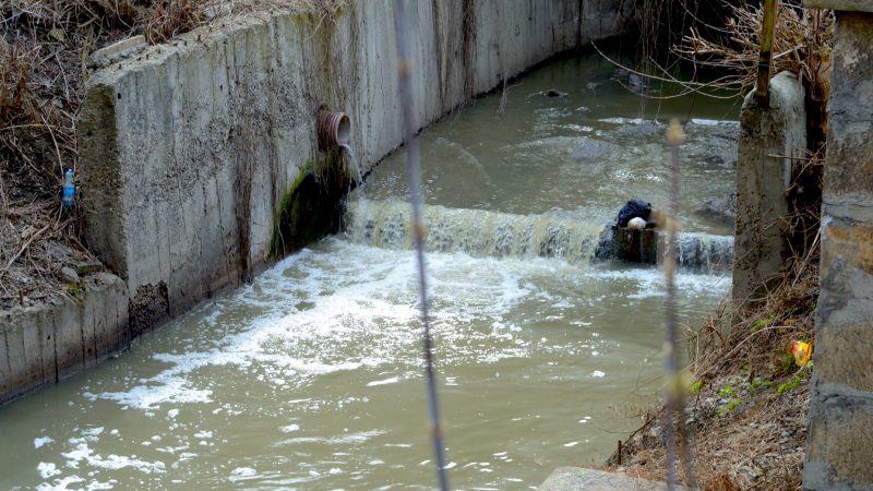 Пензенский «Горводоканал» нанес ущерб реке Суре на 41 млн рублей