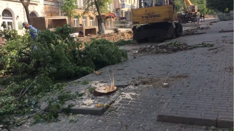 На улице Московской уничтожают деревья. У властей – выходной