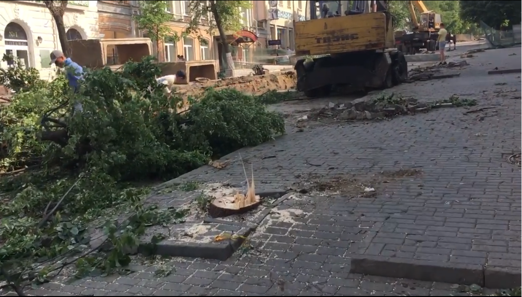 На улице Московской уничтожают деревья. У властей – выходной