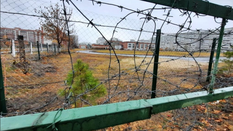 Воспитание и профилактика в школах в свете Казанской трагедии